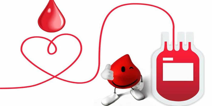 proceso para donar sangre